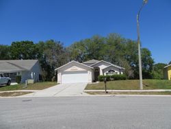 Sheriff-sale Listing in TITLEIST DR HUDSON, FL 34669