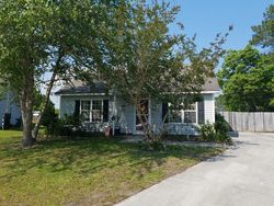 Sheriff-sale Listing in THISTLE CT WILMINGTON, NC 28411