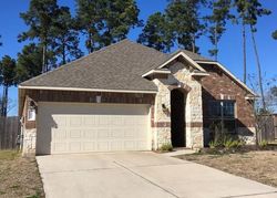 Sheriff-sale Listing in S WIND CAVE CT CONROE, TX 77384