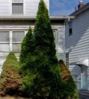 Sheriff-sale Listing in BARBARA AVE UNION, NJ 07083