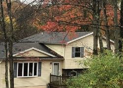 Sheriff-sale Listing in FOREST DR LOCK HAVEN, PA 17745