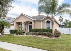 Short-sale in  JUNEBERRY DR Wesley Chapel, FL 33543