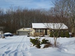 Sheriff-sale in  PAINE RD Painesville, OH 44077