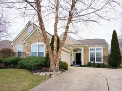 Sheriff-sale Listing in HASTINGS CT MORROW, OH 45152