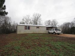 Sheriff-sale Listing in WOODS PRONG RD LINDEN, TN 37096