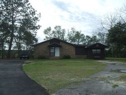 Sheriff-sale Listing in OPEN POND RD WHIGHAM, GA 39897