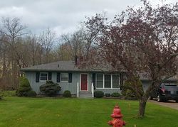 Sheriff-sale Listing in DIANA DR BRUNSWICK, OH 44212