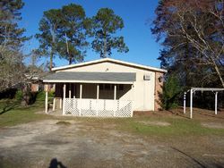 Sheriff-sale Listing in BUSSEY RD SYCAMORE, GA 31790