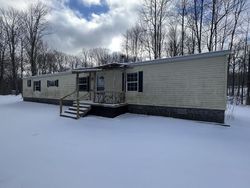 Sheriff-sale in  HINMAN RD Glover, VT 05839