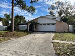 Short-sale in  OAKVIEW CIR Tampa, FL 33634