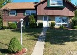 Sheriff-sale Listing in JOHNET DR SAINT CLAIRSVILLE, OH 43950