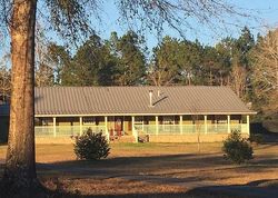 Sheriff-sale Listing in COUNTY ROAD 2300 WOODVILLE, TX 75979