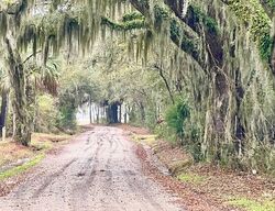 Short-sale in  JENKINS PORT RD Saint Helena Island, SC 29920