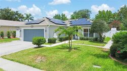 Short-sale in  HORSESHOE PICK LN Valrico, FL 33594